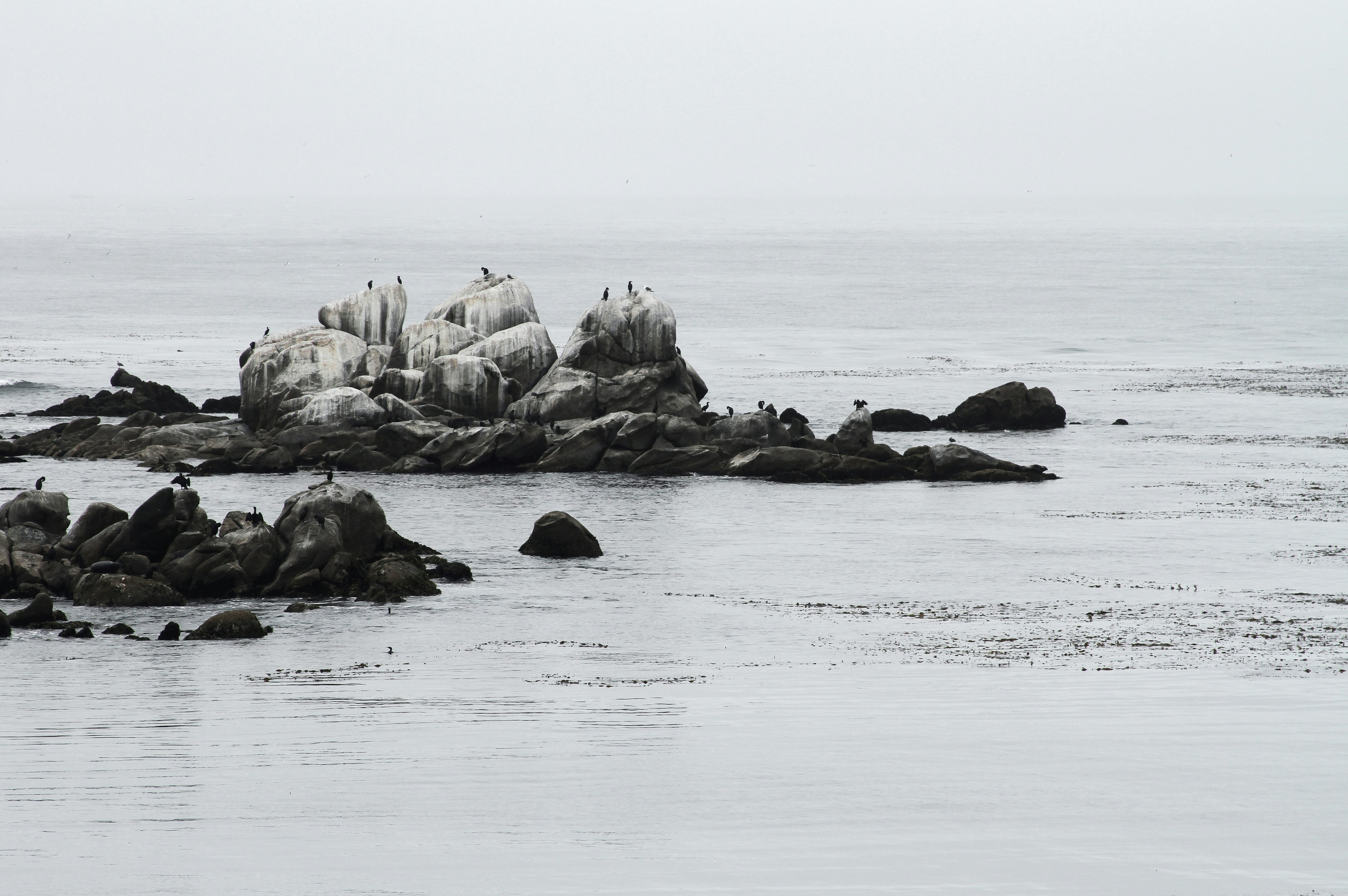 landscape photography of seashore rocks